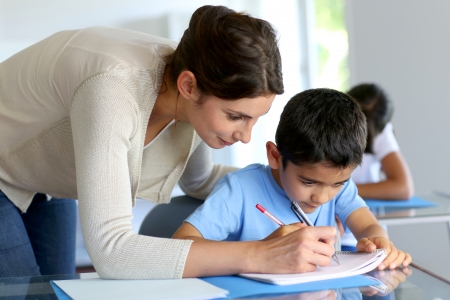 Funciones del profesorado de Pedagogía Terapéutica en Secundaria